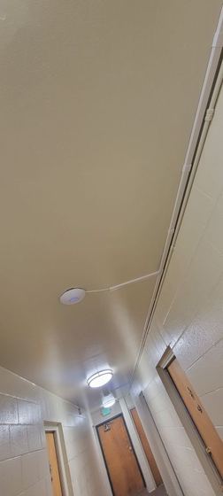 UniFi AP, CAT6 in raceways