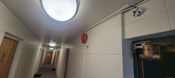 Hallway CAT6 → APs